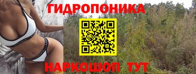 гидра Будённовск