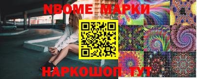 гидра Будённовск