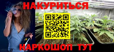 гидра Будённовск