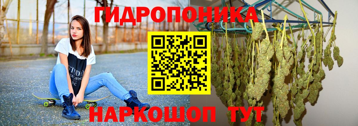 Марихуана конопля  Бошки марихуана гибрид  Вход с VPN  Псков  Канабис марихуана 